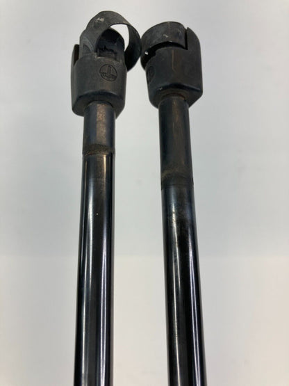 03-07 Honda Pilot Tailgate Liftgate Hatch Lift Support Shock Strut Pair Set