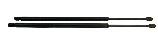 2008-2016 CHRYSLER TOWN & COUNTRY REAR LIFTGATE TAILGATE SUPPORT SHOCKS PAIR OEM