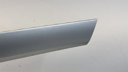 2012-2015 VW VOLKSWAGEN PASSAT REAR LEFT DOOR PANEL MOLDING BEZEL 561867419 OEM