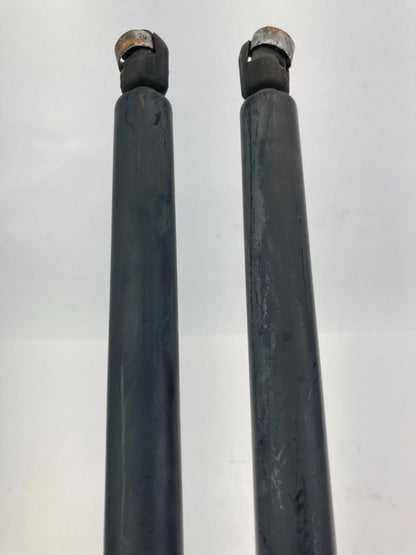 03-07 HONDA PILOT TAILGATE LIFTGATE HATCH LIFT SUPPORT SHOCK STRUT PAIR SET