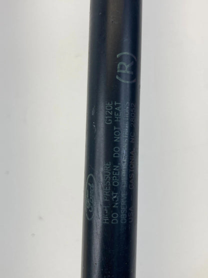 2016-2019 FORD EXPLORER INTERCEPTOR REAR LIFTGATE SUPPORT SHOCK STRUTS SET OEM