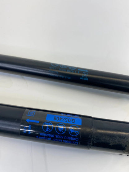 10-16 CADILLAC SRX TAILGATE LIFTGATE ACTUATOR LIFT STRUT CYLINDER PAIR 20928645