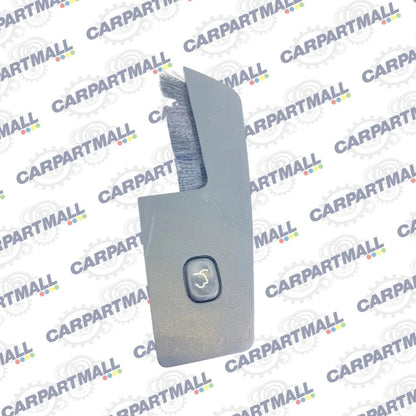 08-16 CHRYSLER TOWN & COUNTRY POWER LIFTGATE CONTROL SWITCH W/ BEZEL 63248CT OEM