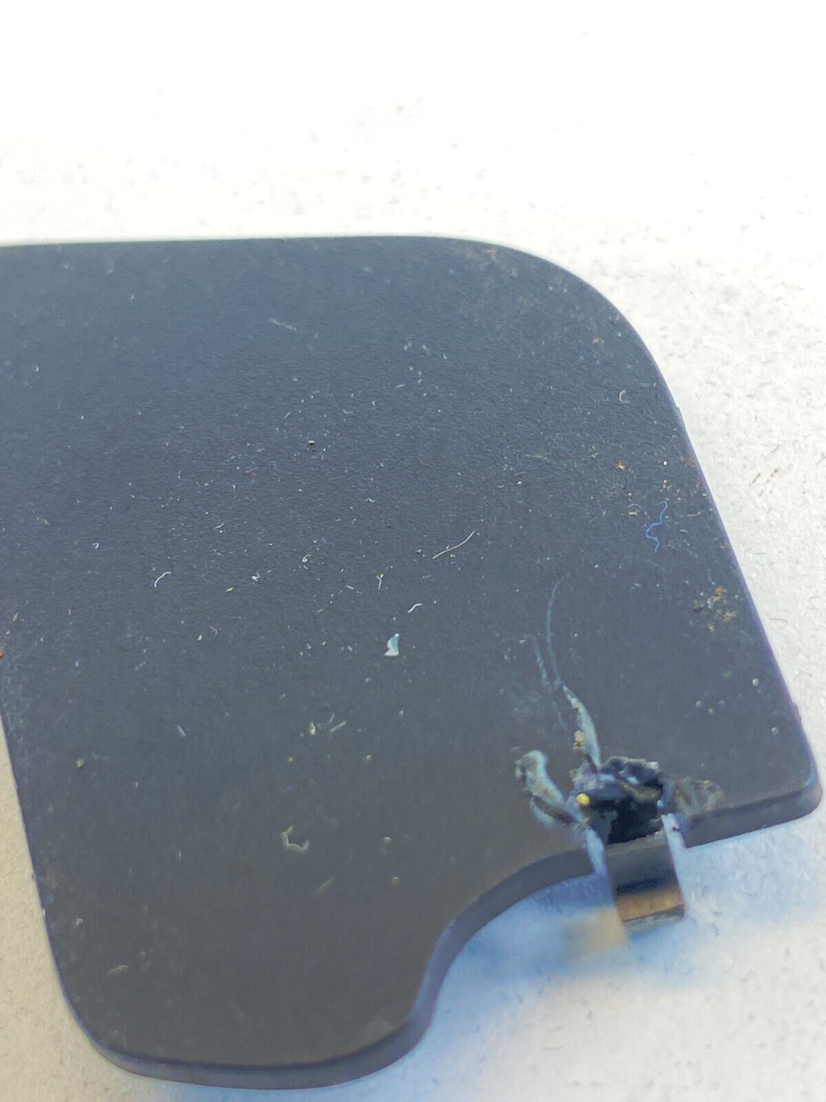 2004-2008 Acura TL Rear Left Interior Door Handle Screw Bezel Cover Trim OEM