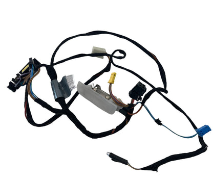 2000-2006 MERCEDES-BENZ S500 REAR LEFT SIDE DOOR WIRING HARNESS CABLE DB2MO53132