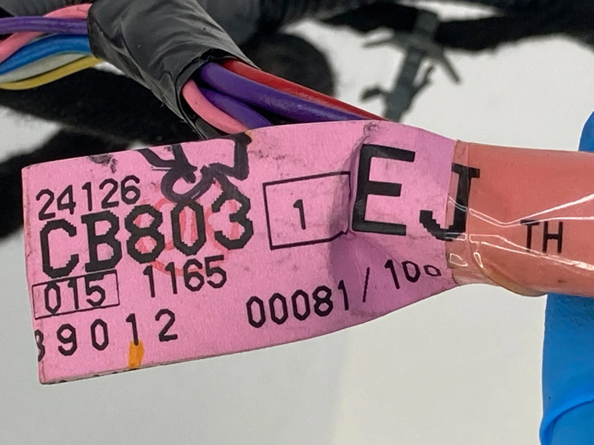 2003-2007 NISSAN MURANO REAR LEFT BACK DOOR WIRE WIRING HARNESS OEM 24126-CB803