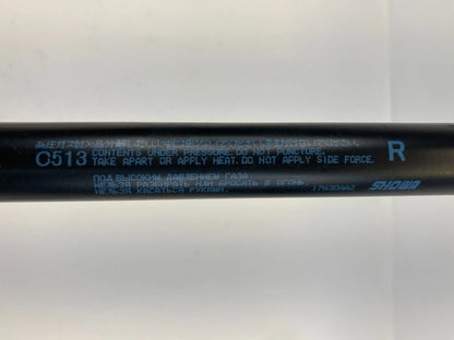 12-15 MAZDA 5 REAR LIFTGATE TRUNK LID TAILGATE HATCH LIFT SUPPORT STRUT SET OEM