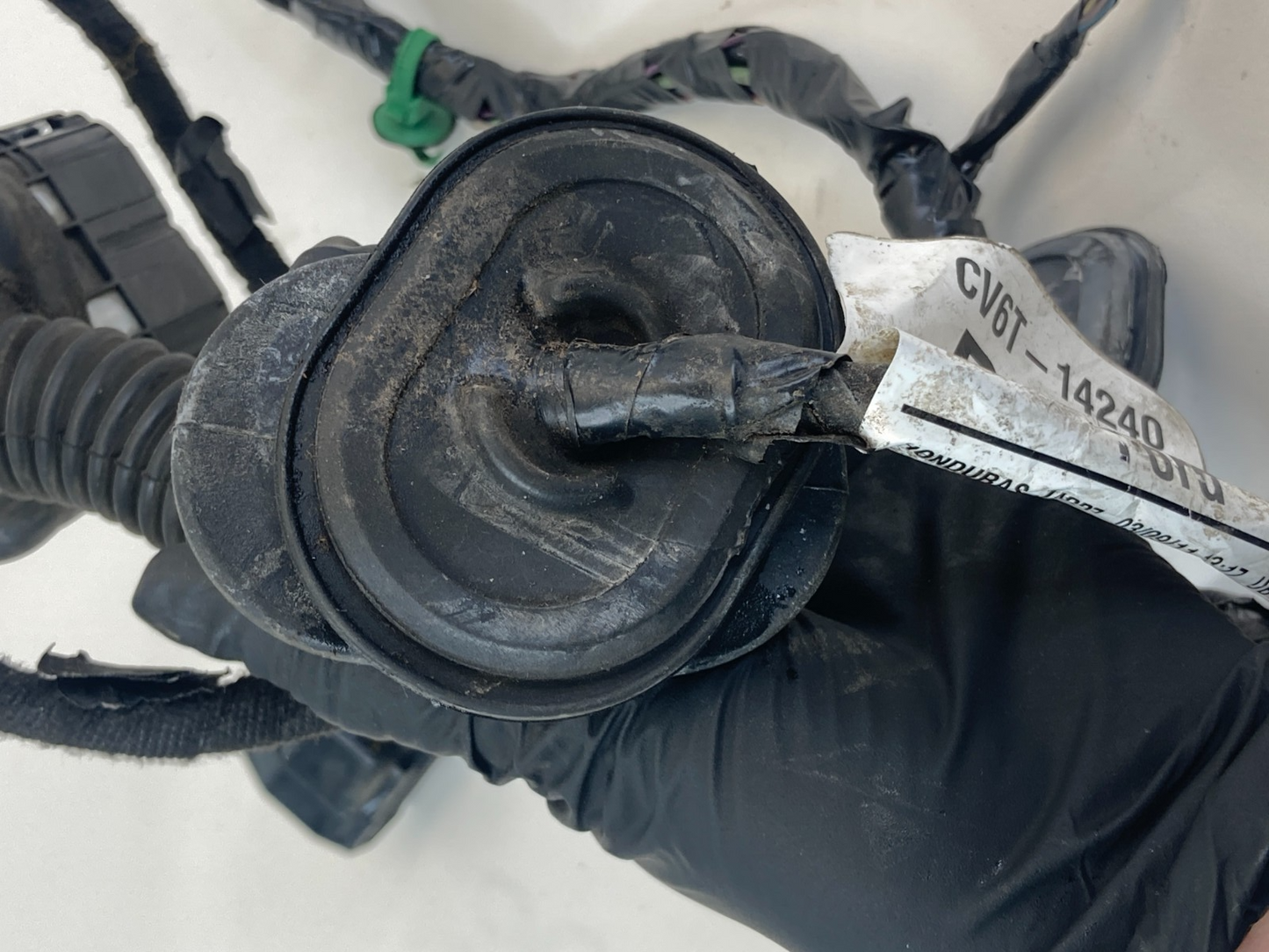 2012-2014 Ford Focus Rear Right Side Door Wire Wiring Harness CV6T-14240 OEM