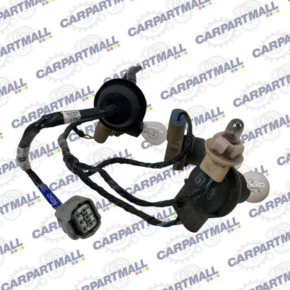 1997 1998 Jeep Grand Cherokee Rear Tail Light Taillight Harness Wire Wiring OEM