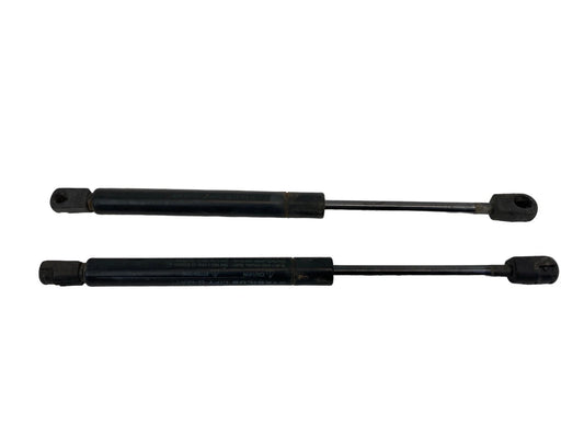 2005-2010 PONTIAC G6 TRUNK LIFTGATE LIFT SUPPORT SHOCK STRUT PAIR SET 10388414