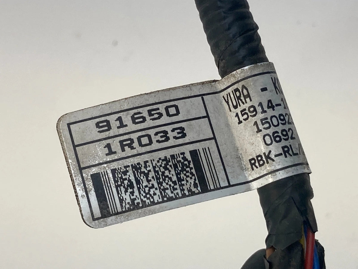 2012-2017 HYUNDAI ACCENT REAR LEFT SIDE DOOR WIRE WIRING HARNESS 916501R033
