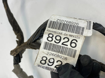 1999-2005 PONTIAC GRAND AM SEDAN REAR LEFT DOOR WIRE WIRING HARNESS 22668926 OEM