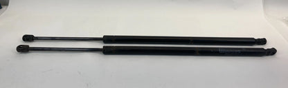 12-15 RAM CARGO VAN REAR LIFTGATE LIFT SUPPORTS SHOCK STRUTS PAIR SET 4589654AC
