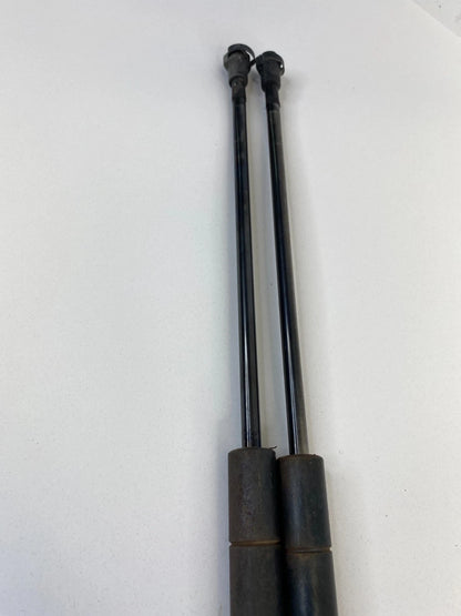 04-10 BMW X3 REAR TRUNK HATCH LIFT SUPPORT CYLINDER SHOCK STRUT SET 51243400379