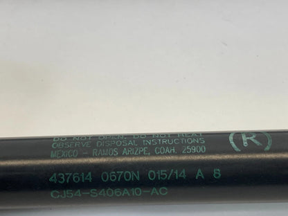 13-16 FORD ESCAPE REAR LIFTGATE SHOCKS STRUT SUPPORT PAIR SET CJ54-S406A10 OEM