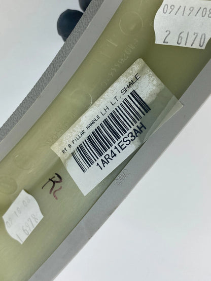 09-14 VOLKSWAGEN ROUTAN REAR LEFT B PILLAR GRIP GRAB INNER HANDLE 1AR41ES3AH OEM