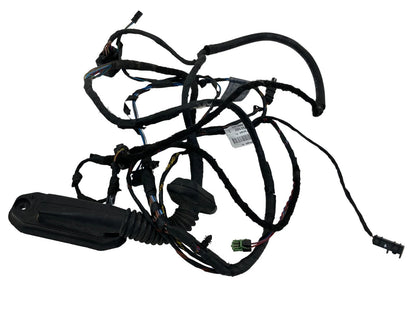 2008-2010 BMW 550I REAR LEFT DOOR WIRE WIRING HARNESS CABLE 9163159 OEM