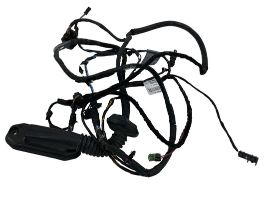 2008-2010 BMW 550I REAR LEFT DOOR WIRE WIRING HARNESS CABLE 9163159 OEM