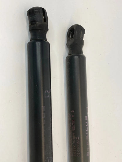 2008-2016 CHRYSLER TOWN & COUNTRY REAR LIFTGATE TAILGATE SUPPORT SHOCKS PAIR OEM