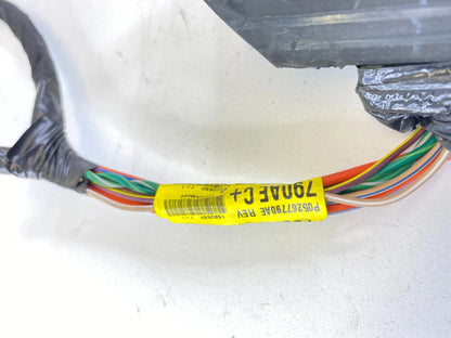 2007-2012 DODGE CALIBER REAR RIGHT DOOR WIRE WIRING HARNESS CABLE 05267790AE OEM
