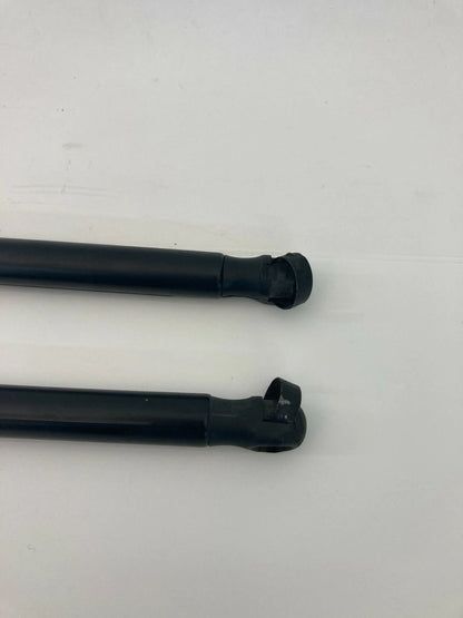 2006-2009 FORD MUSTANG REAR TAILGATE LIFTGATE SUPPORT SHOCK STRUTS PAIR