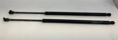 2001-2007 DODGE CARAVAN REAR TRUNK LIFTGATE STRUT SHOCK PAIR SET 04589502AA OEM