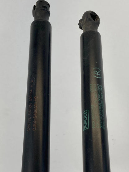 13-16 FORD ESCAPE REAR LIFTGATE SHOCKS STRUT SUPPORT PAIR SET CJ54-S406A10 OEM