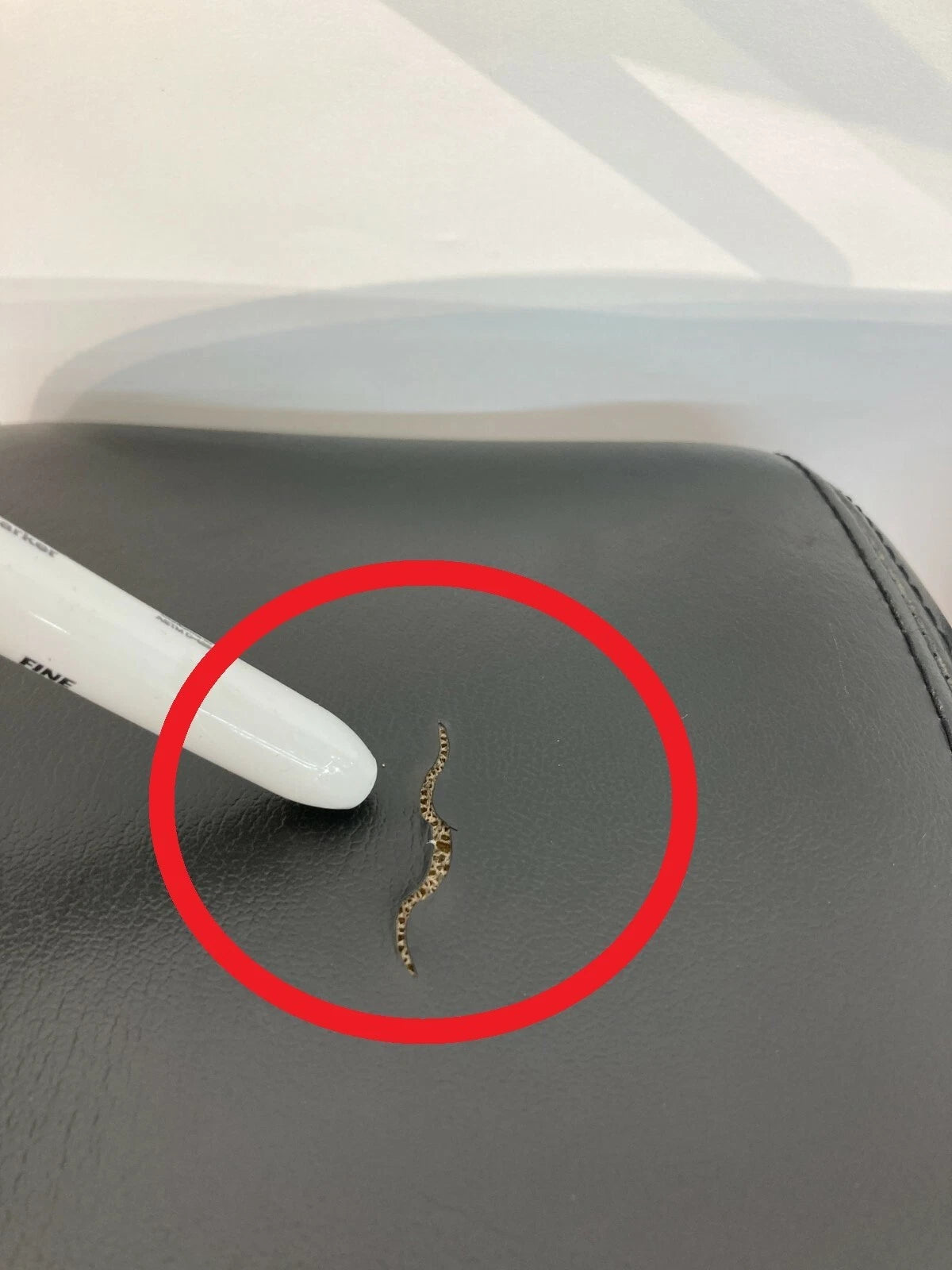 2009-2012 CHEVY TRAVERSE FRONT LEFT & RIGHT SEAT HEADREST HEAD REST SET LEATHER