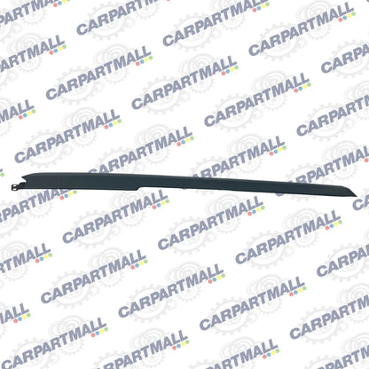 07 08 HYUNDAI ENTOURAGE REAR RIGHT QUARTER PANEL SLIDING DOOR RAIL COVER MOLDING