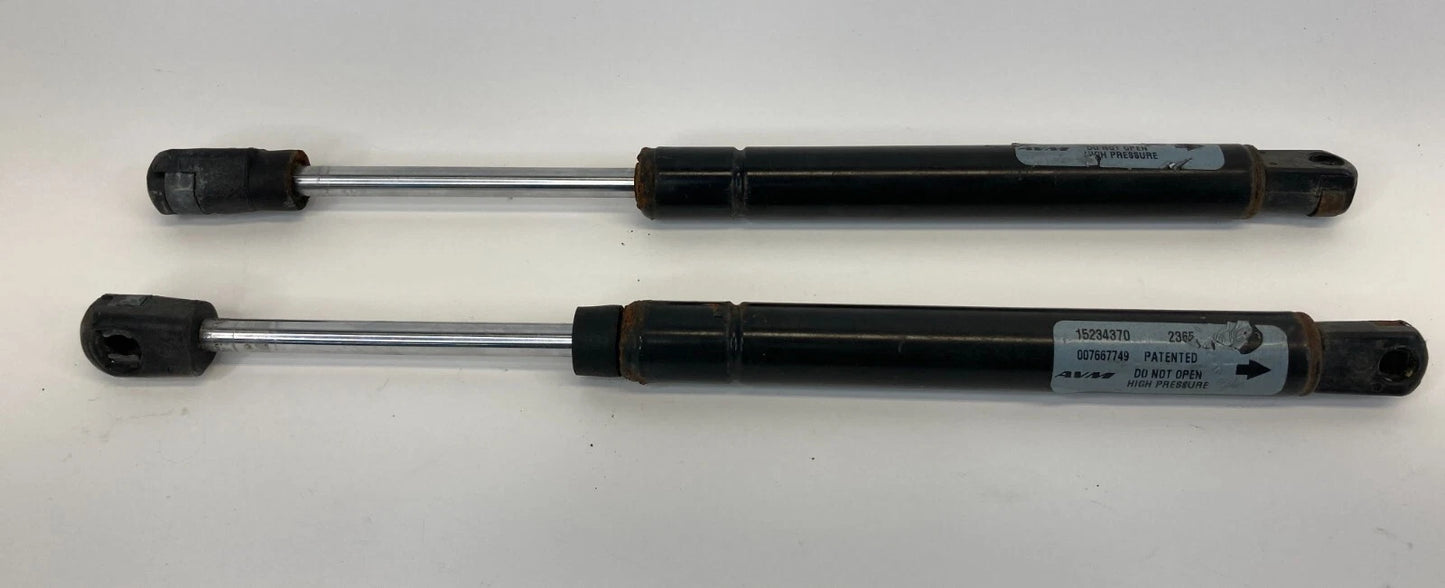 2006 2007 CADILLAC CTS REAR TAILGATE TRUNK LIFT STRUTS SHOCK SUPPORT PAIR OEM