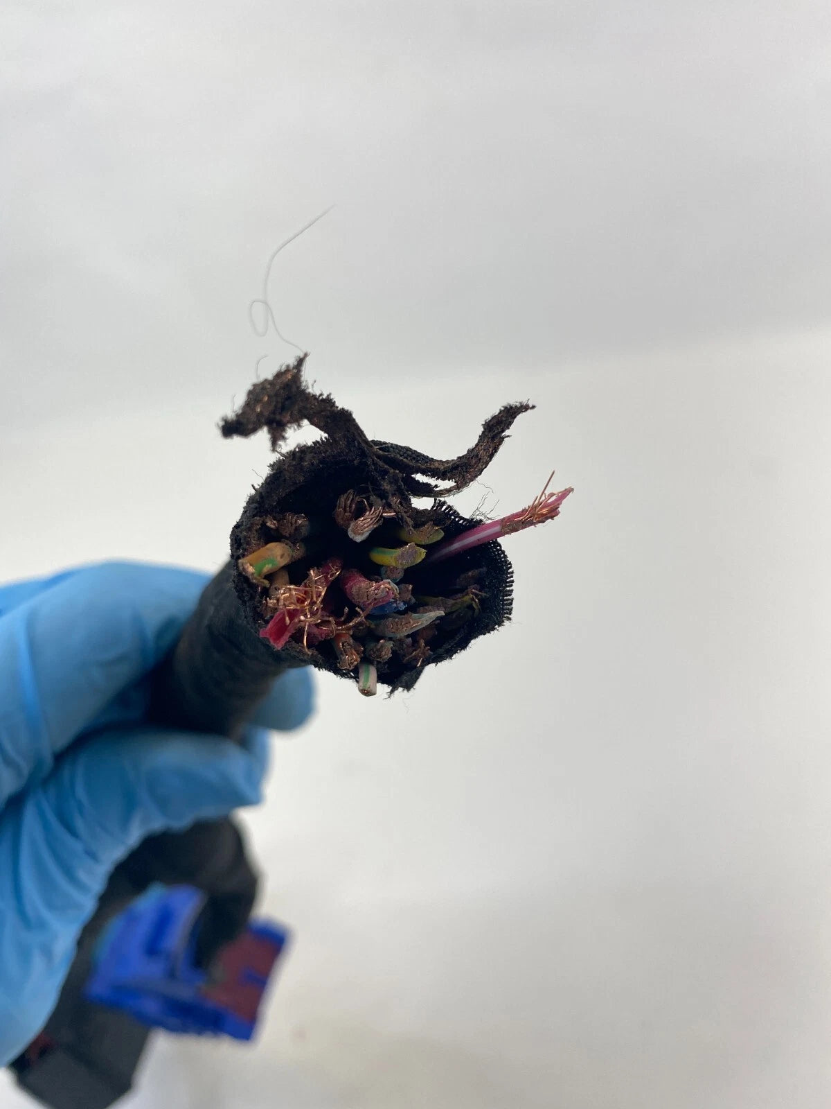 2013 Dodge Dart Manual Trans BCM Body Control Module Plug Connector SET