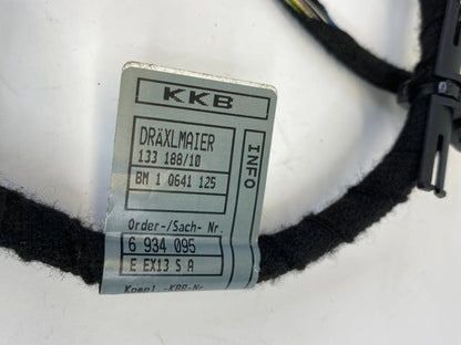 2002-2005 BMW 745I 745LI REAR RIGHT DOOR PANEL WIRING LOOM HARNESS 6913145 OEM