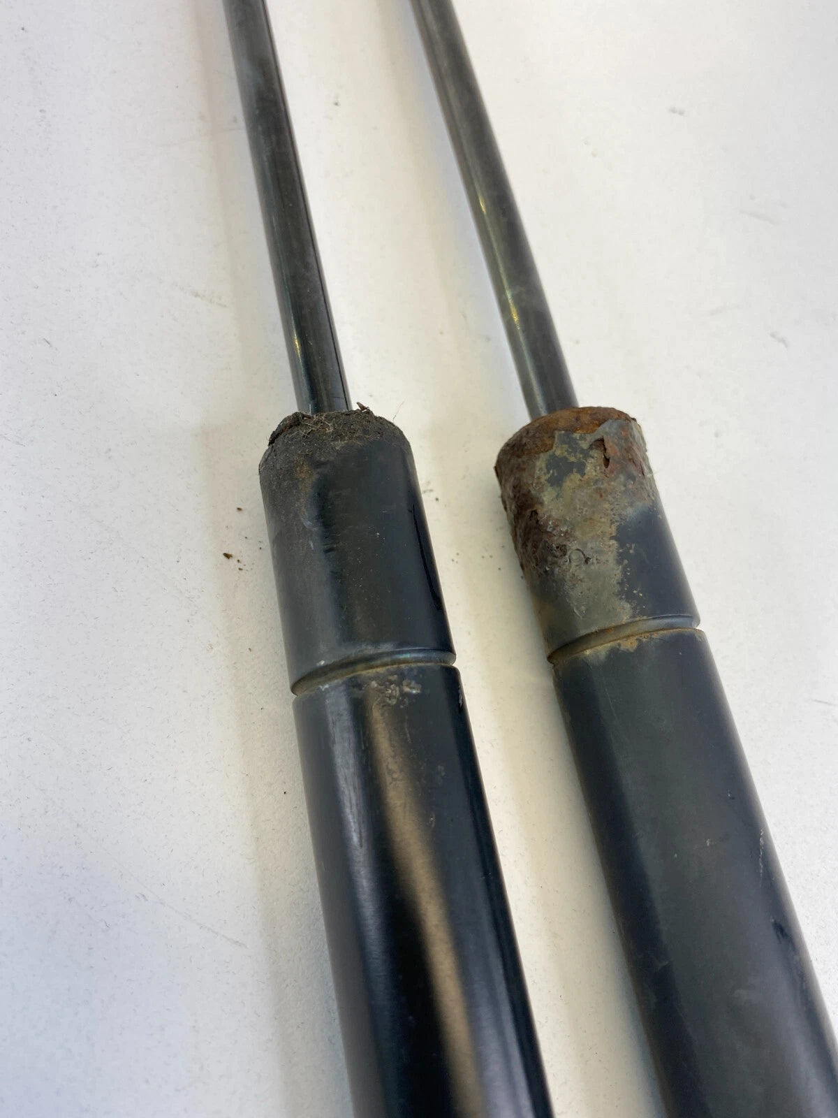 2001-2006 ACURA MDX TAILGATE LIFTGATE LIFT SUPPORT SHOCK STRUT PAIR SET OEM