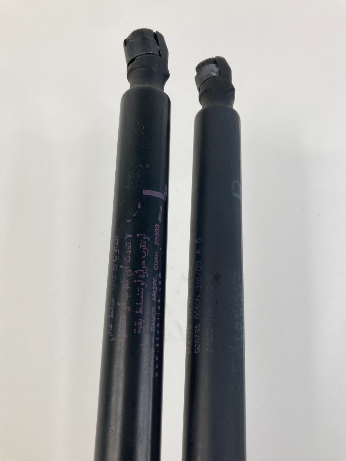 2010 2011 Honda Accord Crosstour Rear Trunk Lock Strut Shock Pair 74870-TP6-A012