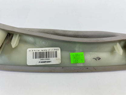 2008-2010 CHRYSLER TOWN & COUNTRY REAR LEFT PILLAR GRIP GRAB HANDLE F1028F4501