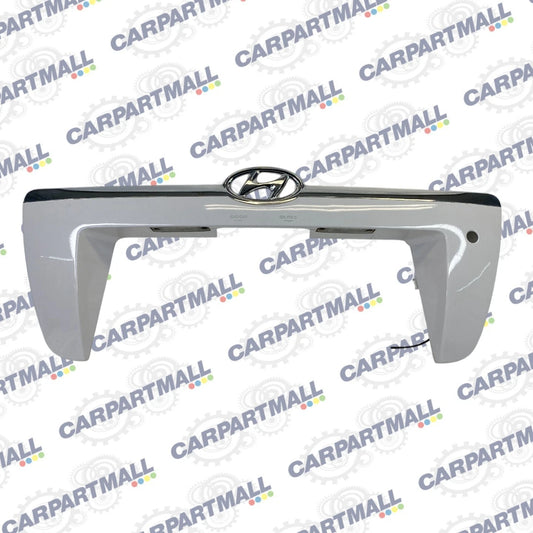 2005-2008 HYUNDAI TUCSON REAR LIFT GATE HATCH LICENSE PLATE TRIM MOLDING OEM