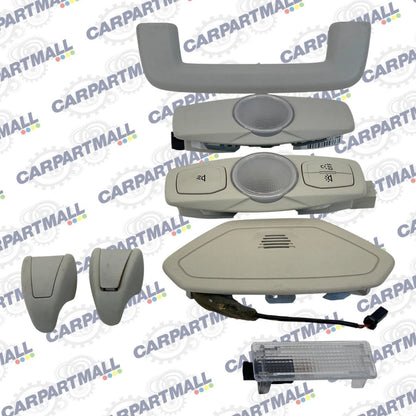 2012-2018 FORD FOCUS ROOF OVERHEAD DOME LAMP LIGHT SET GRAB HANDLE OEM