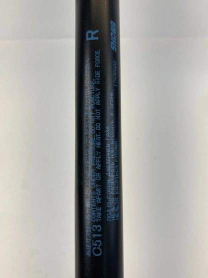 12-15 MAZDA 5 REAR LIFTGATE TRUNK LID TAILGATE HATCH LIFT SUPPORT STRUT SET OEM