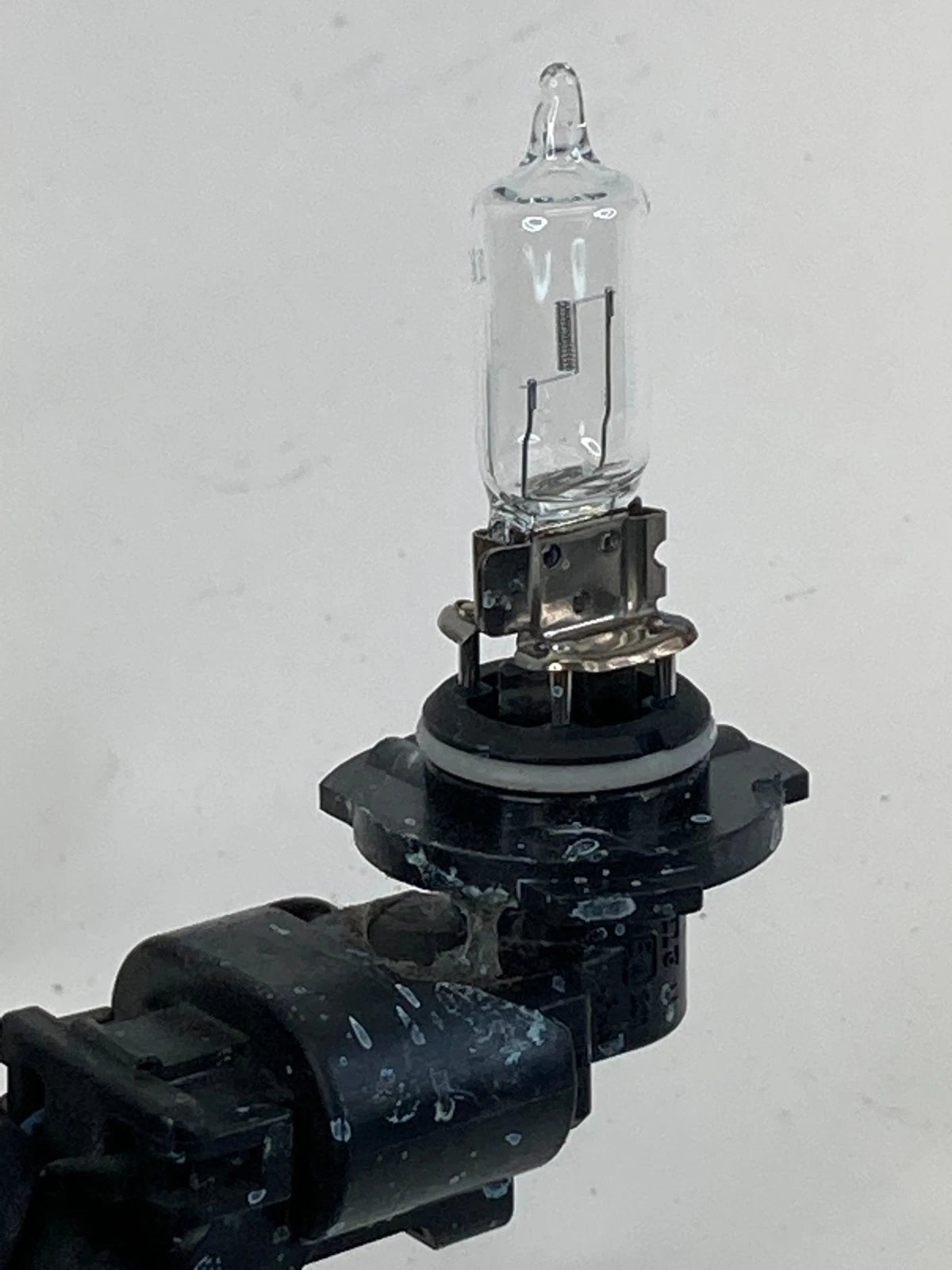 2009-2014 NISSAN MURANO FRONT RIGHT PASSENGER HEADLIGHT HEADLAMP HARNESS BULB