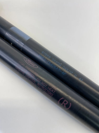 2016-2019 FORD EXPLORER POLICE REAR TRUNK LIFTGATE SUPPORT SHOCK STRUTS SET