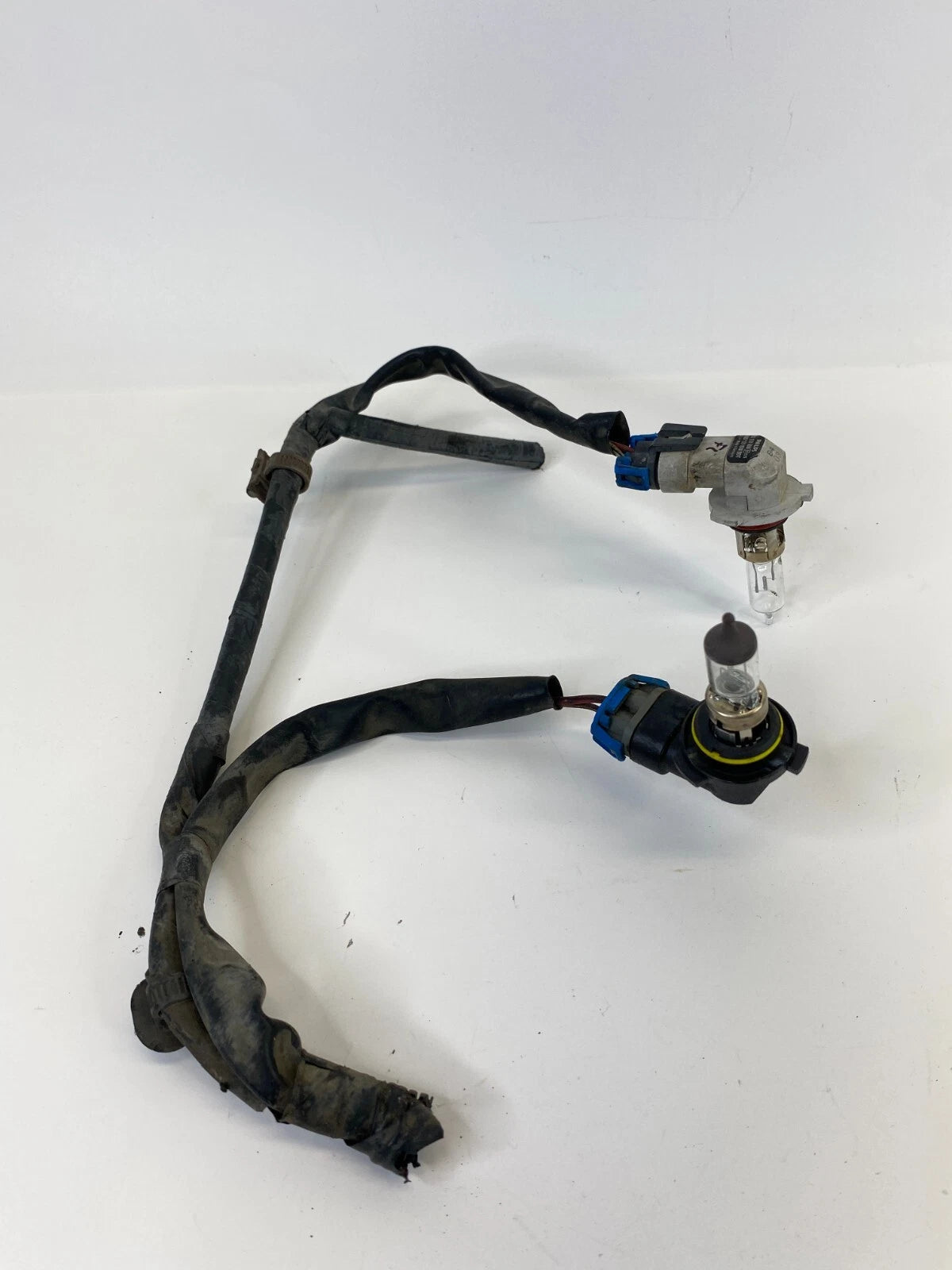 2003 2004 TOYOTA COROLLA FRONT LEFT DRIVER HEADLIGHT HEADLAMP WIRE SOCKET OEM