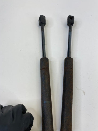 2001-2005 Volkswagen VW Jetta Trunk Lift Support Strut Shock Arm Pair Set