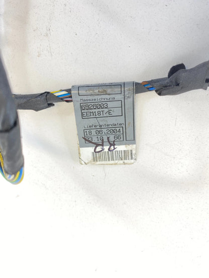 04-05 BMW 530I REAR RIGHT PASSENGER SIDE DOOR PANEL WIRING HARNESS OEM 6926003