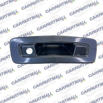 09-12 CHEVY TRAVERSE REAR HATCH TRUNK LIFTGATE EXTERIOR OUTSIDE HANDLE 22738730