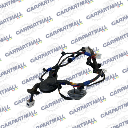 2007-2009 HYUNDAI SANTA FE REAR RIGHT SIDE DOOR HARNESS WIRE WIRING 91660-0W010