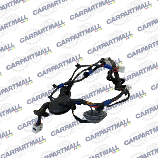 2007-2009 HYUNDAI SANTA FE REAR RIGHT SIDE DOOR HARNESS WIRE WIRING 91660-0W010