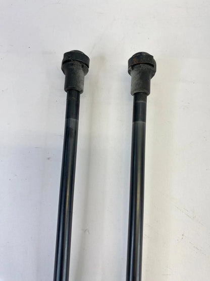 2009-2012 BMW 328i XDRIVE HOOD SHOCK STRUT LIFT SUPPORT PAIR SET 7129190 OEM