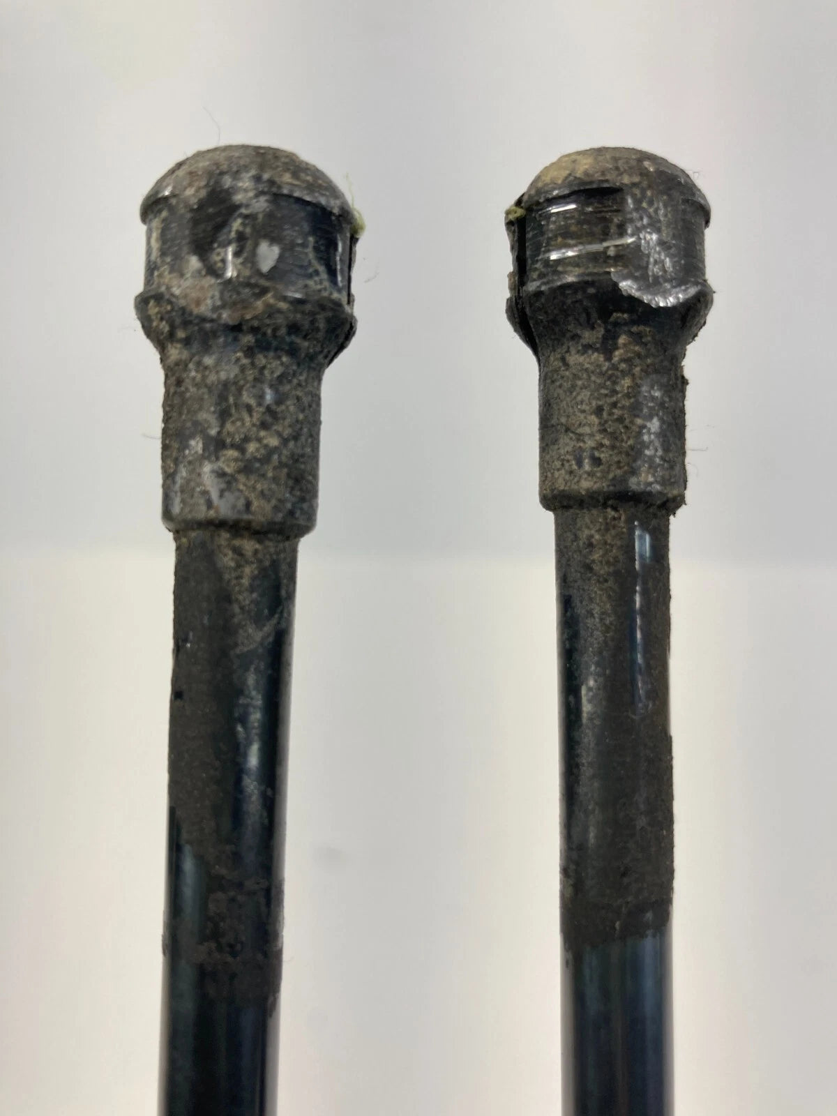 2000-2006 TOYOTA TUNDRA HOOD SHOCK STRUTS LIFT SUPPORT ABSORBER PAIR 53450-0C012
