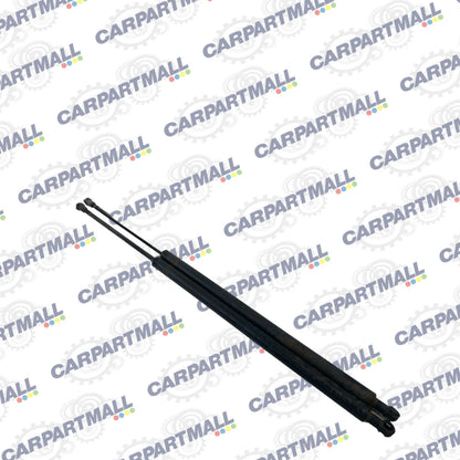 2004-2010 BMW X3 REAR TRUNK HATCH LIFT SUPPORT CYLINDER SHOCK STRUT SET OEM