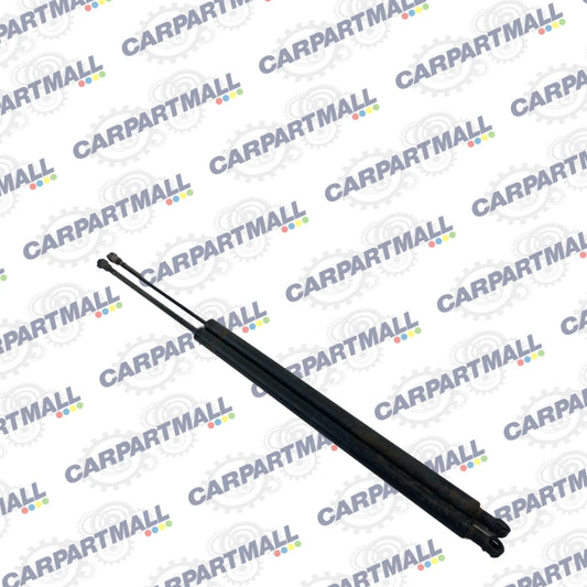 2004-2010 BMW X3 REAR TRUNK HATCH LIFT SUPPORT CYLINDER SHOCK STRUT SET OEM
